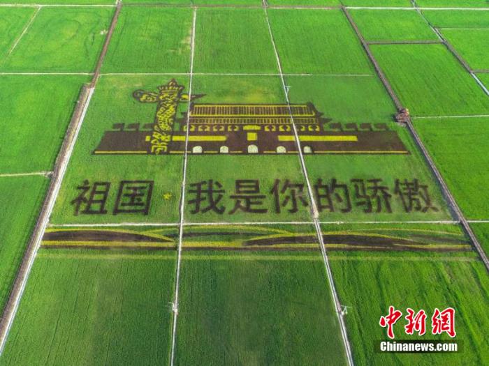 點擊進入下一頁
