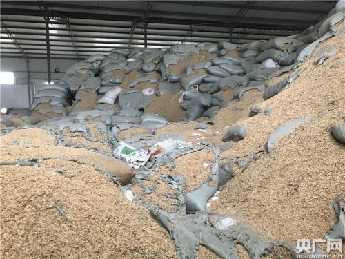 記者在萬寶12號(hào)13號(hào)倉(cāng)發(fā)現(xiàn)存在不同品類不同性質(zhì)的混裝現(xiàn)象