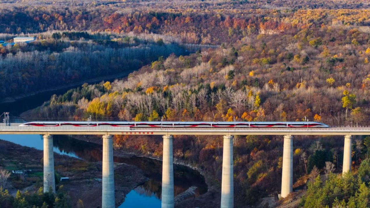 沈白高鐵正式開(kāi)通運(yùn)營(yíng)。受訪方供圖